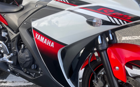 YAMAHA YZF-R25 RG10J