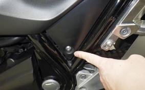 YAMAHA XJR1300 Gen.2 2009 RP17J