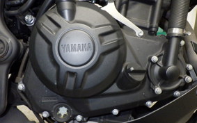 YAMAHA MT-25 A 2009 RG43J