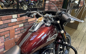 HARLEY FLSB 2018 YMJ