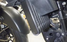 SUZUKI ｼﾞｸｻｰ250 2001 ED22B