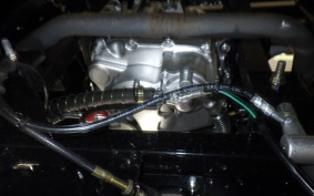 OTHER UNREGISTERED MODEL by BDS TRIKE250 2024