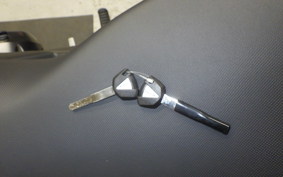 KAWASAKI NINJA1100SX SE 2025 ZXT10H