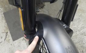 HUSQVARNA SVARTPILEN 401 2019