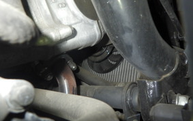 HONDA FORZA 250 2001 MF13