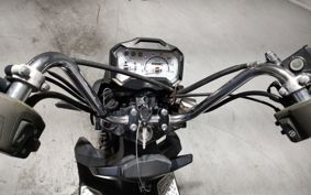 HONDA ZOOMER-X JF52