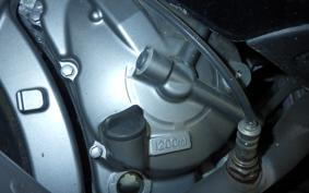 SUZUKI SKYWAVE 250 (Burgman 250) M CJ45A