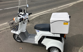 HONDA  GYRO X STANDARD  TD02