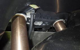 SUZUKI GSX-R1000 2006