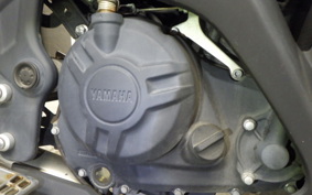 YAMAHA YZF-R25 2015 RG10J