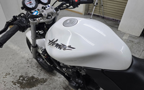 HONDA HORNET 250 MC31