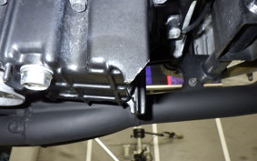 HONDA HORNET 250 2025 MC31