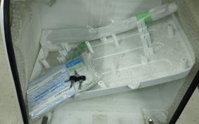 HONDA GYRO CANOPY 2024 TA03