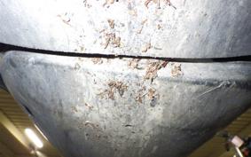 HONDA DIO GEN 3 AF34