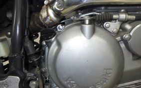 KAWASAKI SUPER SHERPA 2020 KL250G