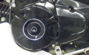 HONDA GROM
