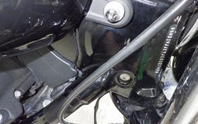 HARLEY FXBB1750 2018