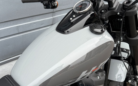 HARLEY  HARLEY FXFBS 2024 YLK