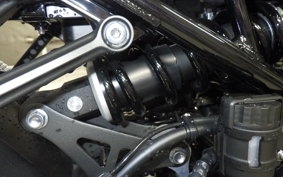 KAWASAKI Z900RS 2024 ZR900K