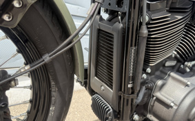 HARLEY FXBBS 2021 YYK