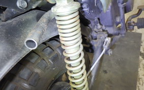 HONDA GORILLA 2006 AB27