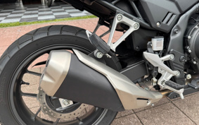 HONDA NX400 2024 NC65