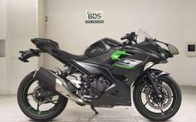 KAWASAKI NINJA 250 2024 EX250Y