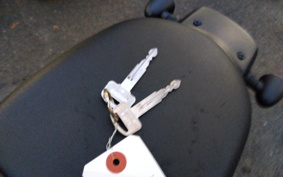 HONDA  REBEL 250 ABS MC49