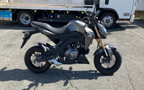 KAWASAKI Z125 PRO BR125H