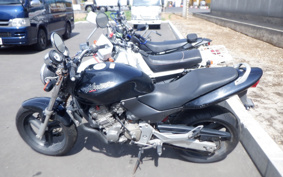 HONDA HORNET 250 MC31
