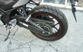 YAMAHA YZF-R25 RG43J