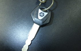 YAMAHA FZ1 FAZER 2008