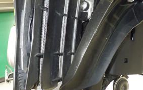 YAMAHA WR250X DG15J