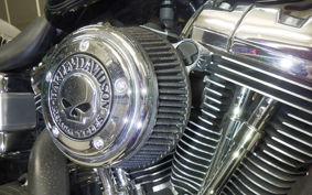 HARLEY FXDL 1580 2013