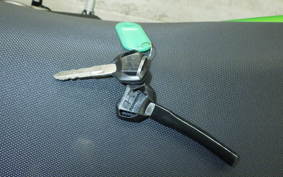 KAWASAKI Z125 PRO 2023 BR125H