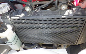 OTHER メガリ 250R