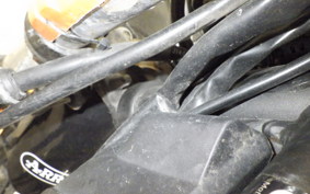 YAMAHA TRICKER 2024 DG10J