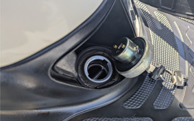 HONDA DIO AF34