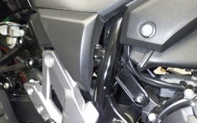 SUZUKI Vｽﾄﾛｰﾑ250A 2025