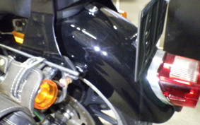 HARLEY XL883LI 2015
