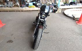 HARLEY HARLEY XL1200NS 2019 LP3