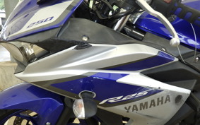 YAMAHA YZF-R25 2000 RG10J
