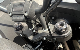 HARLEY FXLRST 2024 YXZ