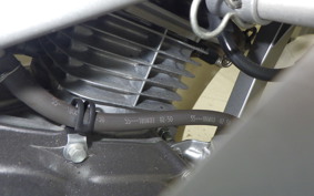 HONDA NSF100 HR01