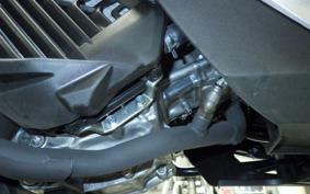 HONDA ADV160 2025 KF54