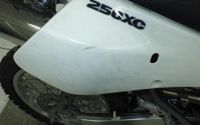 SUZUKI DJEBEL 250 XC