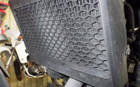 HONDA REBEL 250 A 2025 MC49