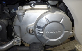HONDA C110 SUPER CUB 2024 JA10