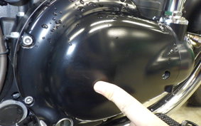 KAWASAKI W800 CAFE 2020 EJ800B