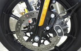 HARLEY XL1200NS 2019